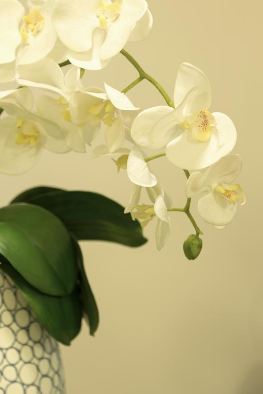 Firenze Apartments 外观 照片